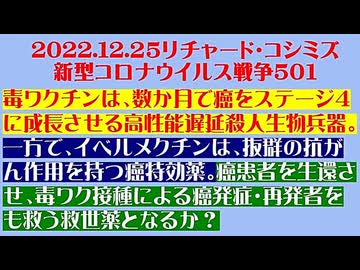【2022年12月25日 ：『 リチャード・コシミズ「 Internet Lecture 」｟ 新型コロナウイルス戦争 ５０１ ｠｟ RK LIVE ｠｟ 改良版 ｠』】
