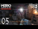 【初見】次の同伴者はウィッチャーのゲラルト METRO 2033  part5