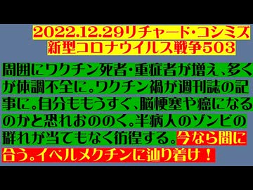 【2022年12月29日 ：『 リチャード・コシミズ「 Internet Lecture 」｟ 新型コロナウイルス戦争 ５０３ ｠｟ RK LIVE ｠｟ 改良版 ｠』】