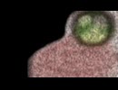 第12回UIFI合作 事前PV集