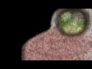 第12回UIFI合作 事前PV集