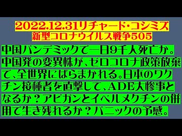 【2022年12月31日 ：『 リチャード・コシミズ「 Internet Lecture 」｟ 新型コロナウイルス戦争 ５０５ ｠｟ RK LIVE ｠｟ 改良版 ｠』】