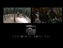 【第424回】たけのこ掘り会！と、台風？と、カヌレ