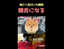 チュートリアルで手に入るスキルが最強だった 【JUDGE EYES：死神の遺言】
