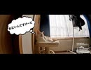 【第426回】たけのこ掘り会！③と、眠いんですけど…と、マーマレード