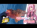 琴葉姉妹と行く釣行記録（海釣り編part50）