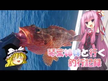 琴葉姉妹と行く釣行記録（海釣り編part50）