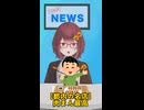 フェイクニュース⑳餃子の提供ミス、花火がUFO撃墜