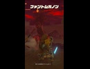 【ティアキン】唄ドリの草原のファントムガノン　ゼルダの伝説ティアーズオブザキングダムNintendo Switch 2 Edition