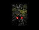 編集済みの踊り / feat. 重音テト