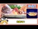 【リメイク版テイルズオブデスティニー】プレイしつつ再現料理＃24【船盛り,お茶漬け】