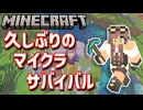 【Minecraft】トロコンを目指すサバイバル生活 part20【マイクラ】