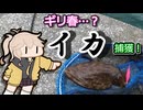 春日部つむぎと見る！ 春イカエギングリベンジ編