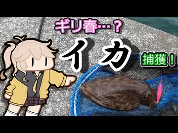 【春日部つむぎと見る！】春イカエギングリベンジ編