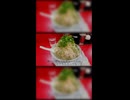 ヤサイオオメラーメン福