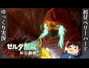 『初見ベリーハード#8』ベリハで邪に襲われるゲルド族を助けるカラモと謎のゴーレム【ゼルダ無双封印戦記/ゆっくり実況】