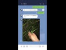 【ﾑｼｬｧ…】爆笑誤爆LINEが面白すぎるｗ　Part 80
