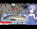 【No.7_5周年！】ナンバーセブンが７㎝のルアーでシーバスを釣る動画【シーバスアングラーナンバーセブン！】