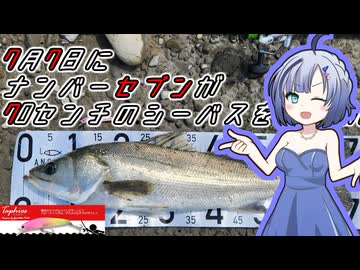 【No.7_5周年！】ナンバーセブンが７㎝のルアーでシーバスを釣る動画【シーバスアングラーナンバーセブン！】