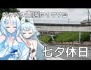 2026年7月7日　日記1779　七夕は完全なる休日にしたい