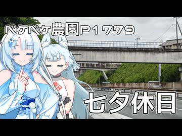 2026年7月7日　日記1779　七夕は完全なる休日にしたい