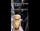 既存楽曲復活祭もラストスパート！！「明日は明日の風が吹く/可不」