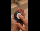 ケツデカピングー
