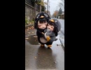 ケツデカピングー