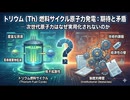 トリウム（Th）燃料サイクル原子力発電：期待と矛盾 ― 次世代原子力はなぜ実用化されないのか