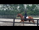 ミズカゼくん馬場馬術レッスン