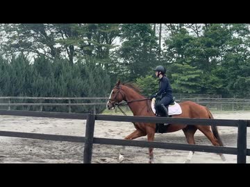 ミズカゼくん馬場馬術レッスン