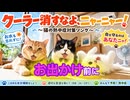 クーラー消すなよ、ニャーニャー！【猫の熱中症対策ソング／オリジナルMV】