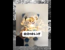 初投稿 DS（ドラッグストア）HOOKの切り抜き