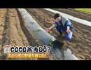 川崎槙吾のGO GO 蕎麦DŌ- 〜天ぷら用の野菜を育てる！〜