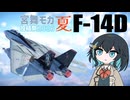 【宮舞モカ投稿祭夏】スーパーワトソンくん【WarThunder:空RB F-14D】