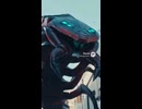 大人しい顔してるね。