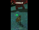 【ティアキン】カカタオの根付近のイワロック　ゼルダの伝説ティアーズ オブザキングダムNintendo Switch 2 Edition