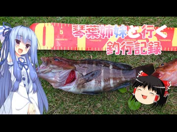 琴葉姉妹と行く釣行記録（暇潰し編part78）