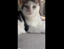 昼下がり
