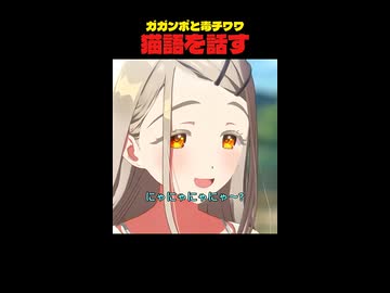 【かわいい】ガガンボと毒チワワは猫になった