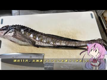 珍食材が食べたい！#236 トクビレ