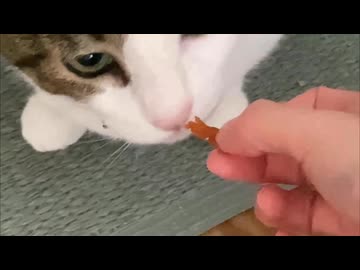 よい七夕だった