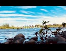 doc:k - 赤蛙(feat.初音ミク)