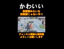 詐欺師みたいな詐欺師じゃないやつが可愛すぎた