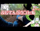 【シンプル車載動画投稿祭2026】ふじてんでクラッシュの痛みを堪能する