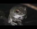 6月の面倒なヤツラー　その7