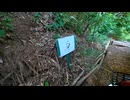 山城しんごの城めぐり　根戸城(千葉県我孫子市)