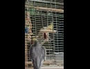 遊び時間が終わっても一緒にいたいなぎ