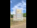 【明野】ひまわり畑に行ってきた【Vlog】#shorts #山梨 #観光 #旅行