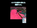 ハシラを視界に捉えた麗羅ちゃん